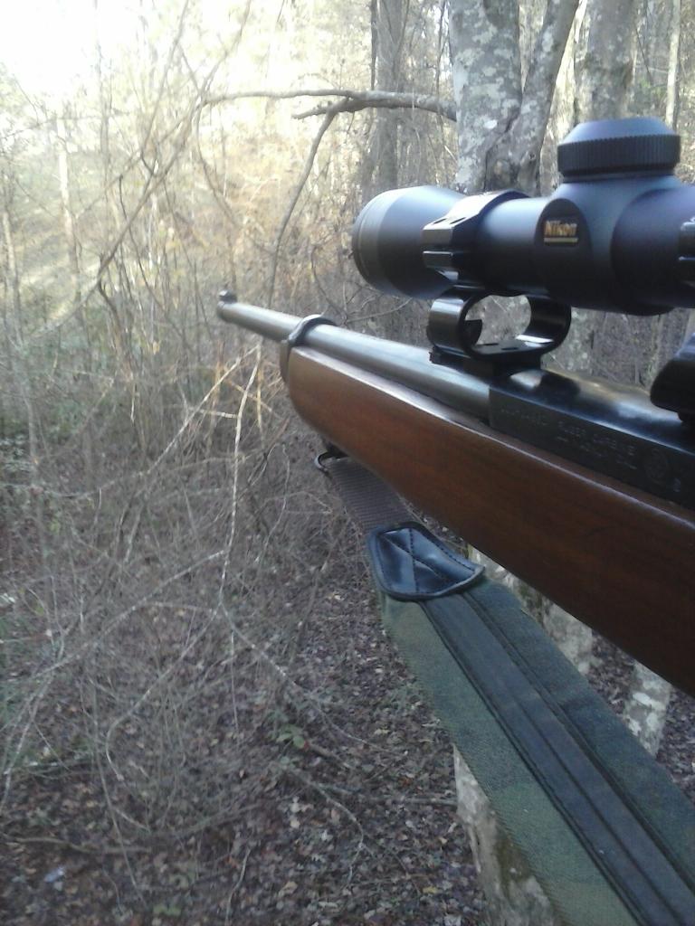 ToddEverette1's tweet image. #Deercity #soybeanplot