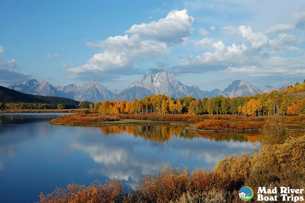 Catch some of these awesome activities before winter truly hits! mad-river.com/blog/must-do-a…