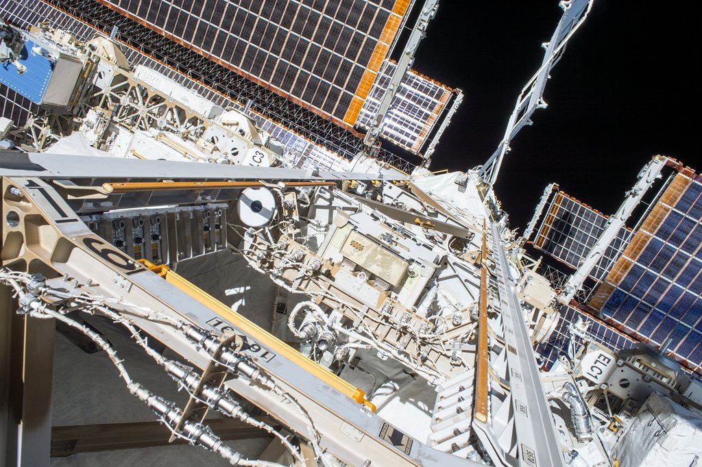 Deep build. Easy speech. Easy speech. Deep build. Deep build.