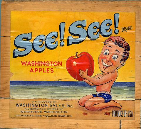 amhistorymuseum's tweet photo. 🍎 Celebrate the birthday of Washington state with a Washington favorite: apples.  https://t.co/pPdpH8zC9Q 🍎 https://t.co/bZkIEB7pJK