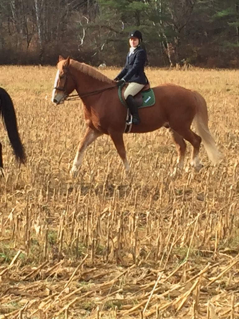 With the fall season coming to a close, some team-members had fun this week playing polo cross and fox hunting!