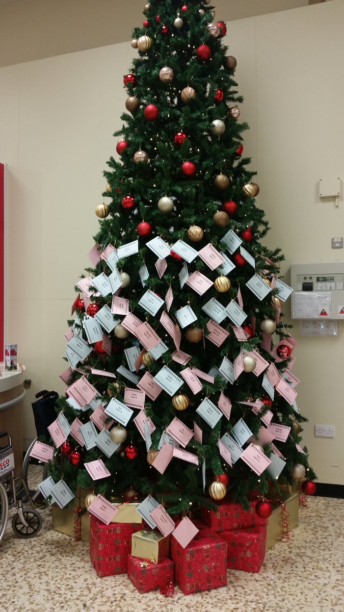 Lynn sumner tweet media