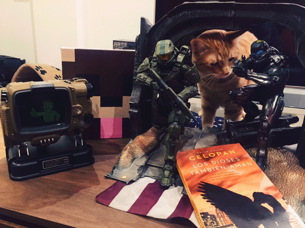 Rubiu5's tweet photo. Cosas guays que me han llegado este mes. Halo 5 CE, libro de @CelopanYT el PipBoy y cuadro de Minecraft de un fan :) https://t.co/rWFpxQcE5j