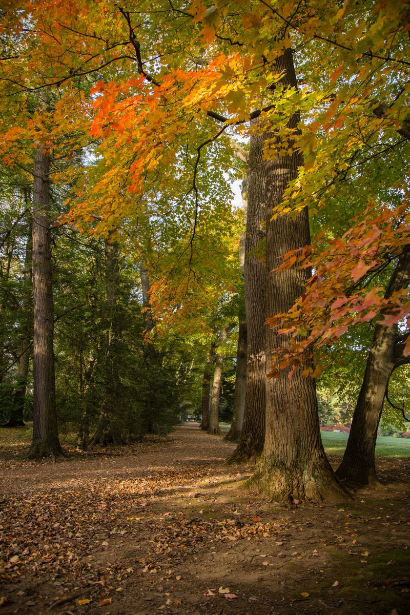 longwoodgardens's tweet image. Thank you to our Veterans and their families for their service to our beautiful country