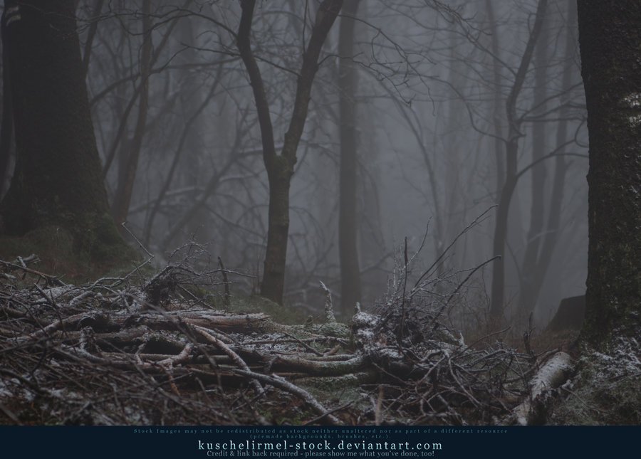 DA_resources's tweet image. Once Upon A Time Additionals 05 by kuschelirmel-stock dlvr.it/CjjZVp