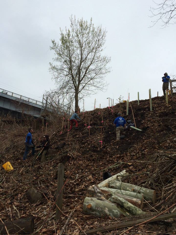 TreePgh's tweet photo. Thank you to all our veterans! We are grateful for @1stPlatoonPIT for volunteering with us at our nursery in April. https://t.co/v5q1O8J53U