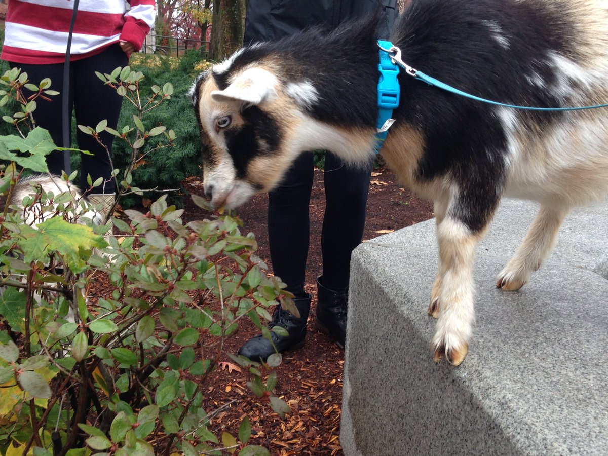 Christian R. Santillo tweet media