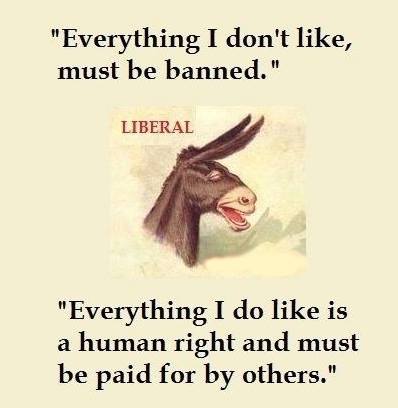 JGalt09's tweet photo. #NationalOffendACollegeStudentDay there's a reason why the jackass is the symbol of the Democrats https://t.co/hciP6xgnHB