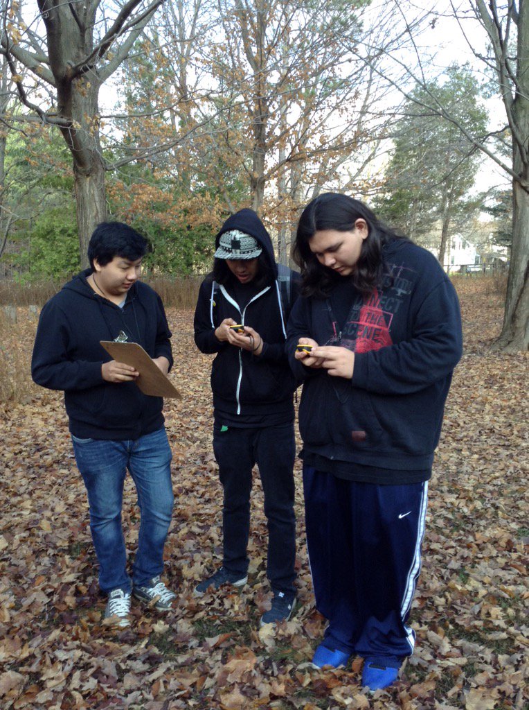 Vansittart Woods EEC tweet media