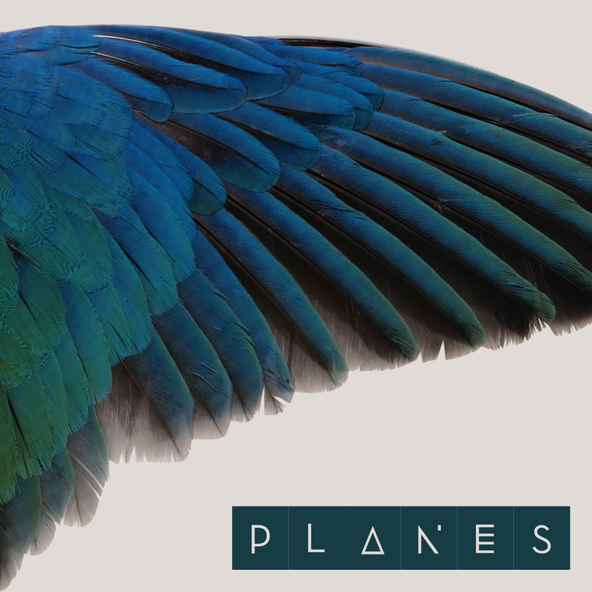 We're about to start work with producer Nick Launay who's worked with <a href="/arcadefire/">Arcade Fire</a> &amp; <a href="/YYYs/">Yeah Yeah Yeahs</a> recently! More soon!! xx