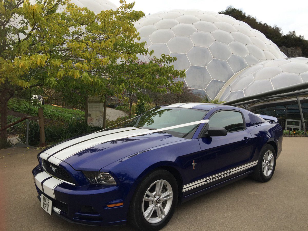 Musthire Mustang tweet media