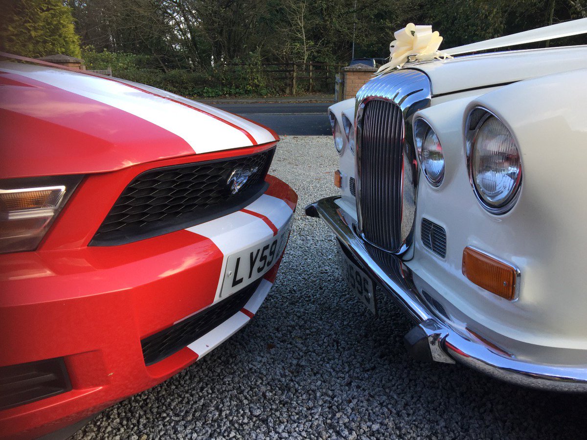 Musthire Mustang tweet media