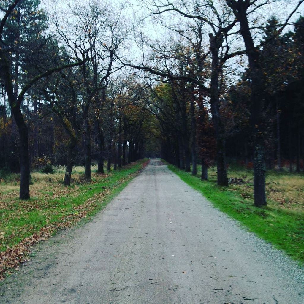 Lichtschilder's tweet photo. Great #autumn view #kickbike #sport #kickstandswitchrepeat #footbike #sports #fun #outdoo… https://t.co/JC4BDO7iZ8 https://t.co/tabCJOx23X