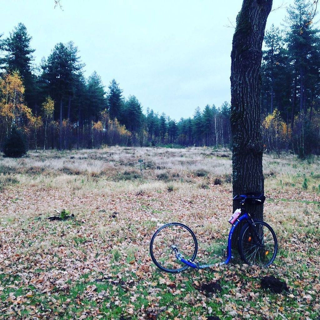 Lichtschilder's tweet photo. Great view here!  #kickbike #sport #kickstandswitchrepeat #footbike #sports #fun #outdoors… https://t.co/1l2GfJZrBf https://t.co/6C6ySmWjzY