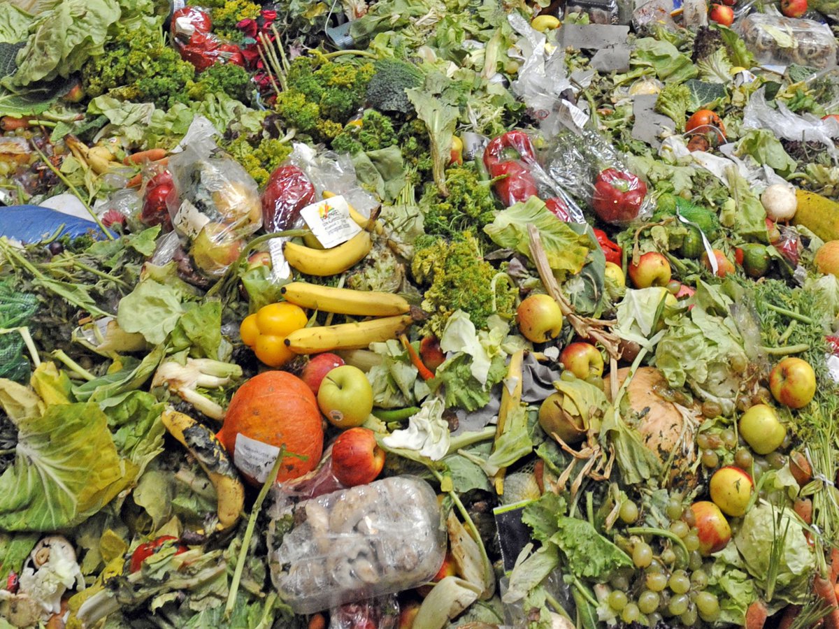 INVESTIGATION REVEALS MILLIONS OF POUNDS OF FOOD WASTED EVERYDAY #wastenot #foodwaste ow.ly/UwG9I
