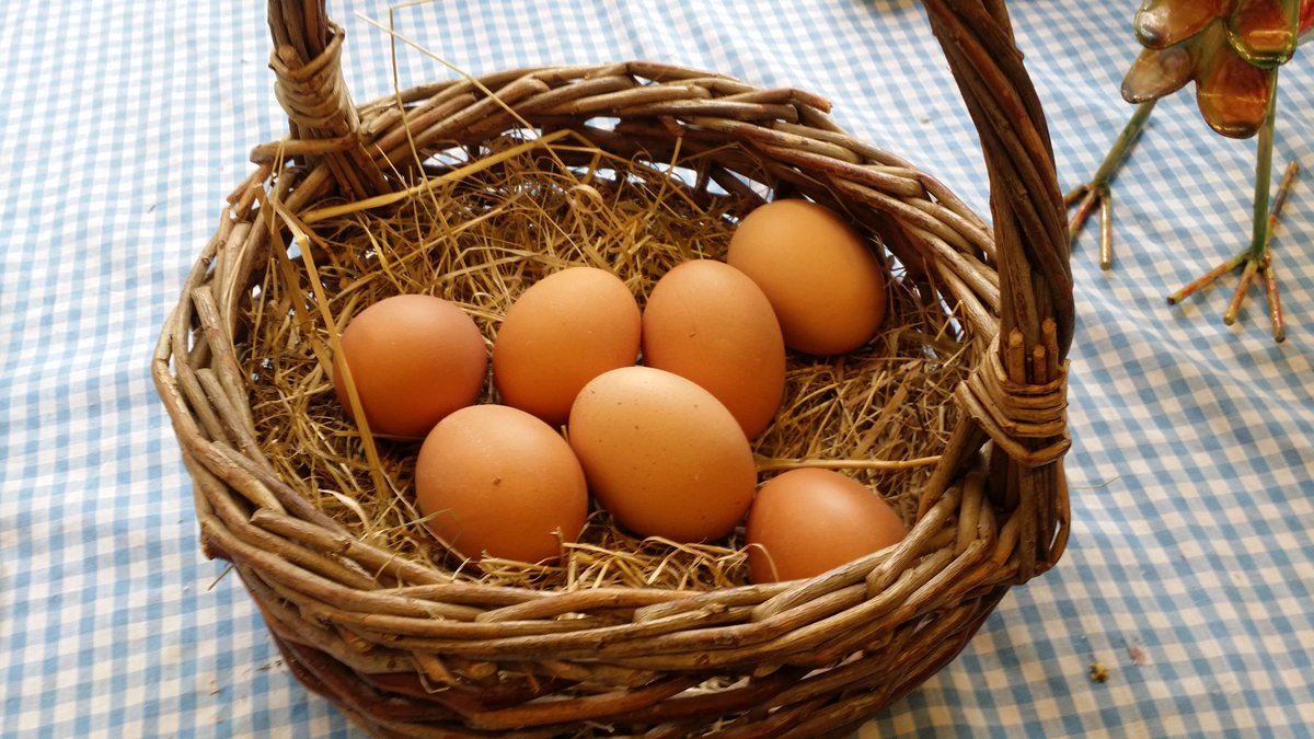 We are at <a href="/_makersmarket/">Makers Market</a> #Sandbach  this saturday come along to purchase  the best free range eggs in Cheshire.