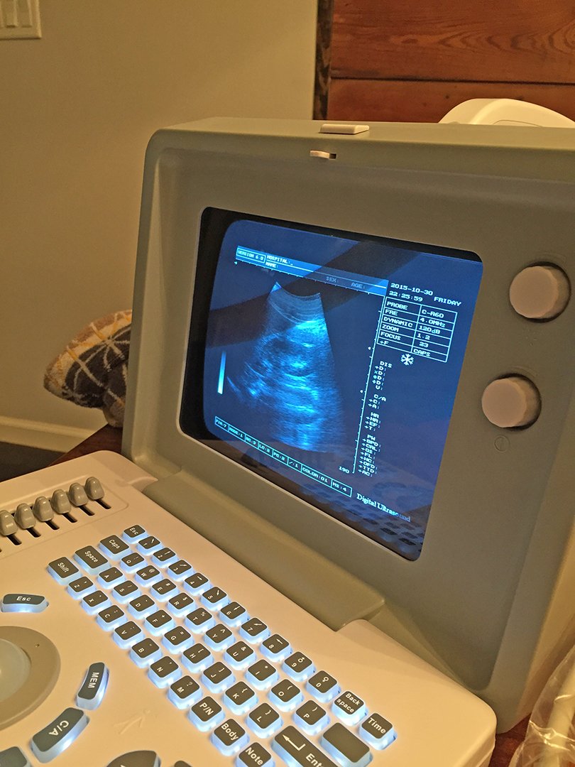 gujratws's tweet photo. Soon we will be ready to offer #gynocology services at #GWS Hospital thx to your donations! https://t.co/Jw8UkxuPOz https://t.co/LC9VQFKJWs