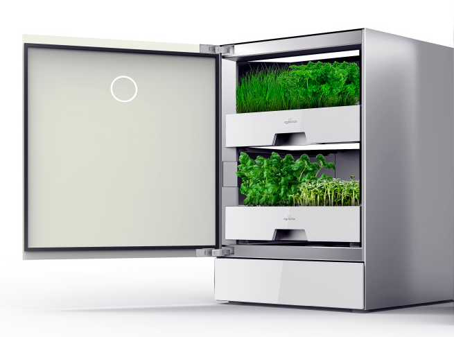 foodtechconnect's tweet photo. Millennial Food Innovators: How @agrilution Is Democratizing Vertical Farming @tffchallenge https://t.co/1940n8mUY5 https://t.co/lpY3ifQmAS
