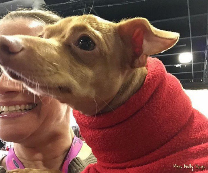 missmollysays tweet media