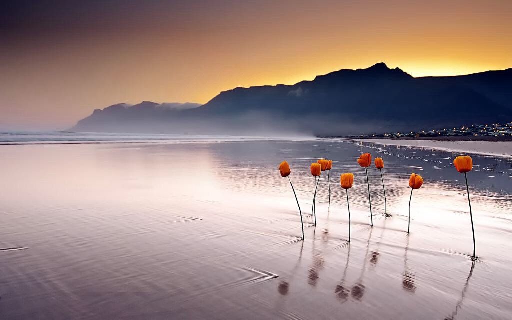 DireccionRodri's tweet image. Flowers in water...
