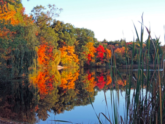 masslivenews's tweet photo. Reflections of Autumn in our #fall photo contest. #fallfoliage #MAFall https://t.co/fpIdmI29C1 https://t.co/Jmo6MzwEAA