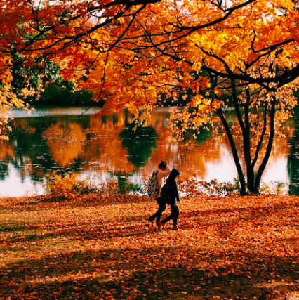 masslivenews's tweet photo. Reflections of Autumn in our #fall photo contest. #fallfoliage #MAFall https://t.co/fpIdmI29C1 https://t.co/Jmo6MzwEAA