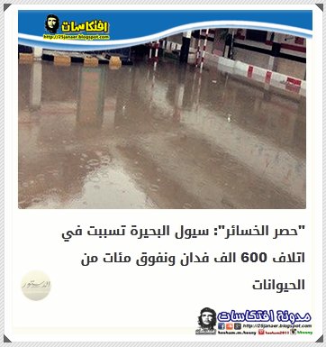 "حصر الخسائر": سيول البحيرة تسببت في اتلاف 600 الف فدان ونفوق مئات من الحيوانات