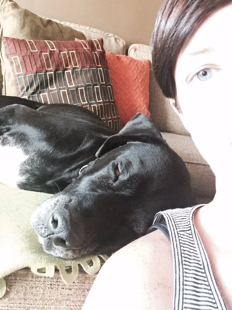 Seebasolano32's tweet photo. I promise my maternity plans will be excellent because Diesel has been overjoyed to help me! @LimonaElem https://t.co/iAPqQXPGU1