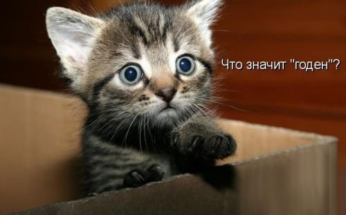 KobylinIgor's tweet photo. https://t.co/MWVpFkKOOo