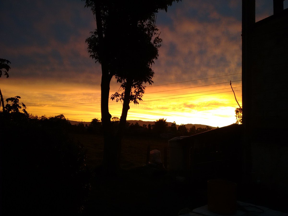 AlejandroMeja2's tweet photo. Hermoso!!! https://t.co/217k7360KS