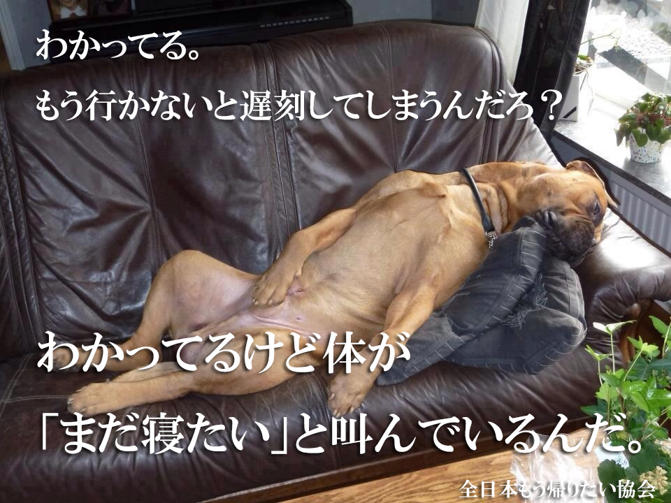 mou_kaeru's tweet photo. 叫んでいるんだ。 https://t.co/Uek7qf67Ls