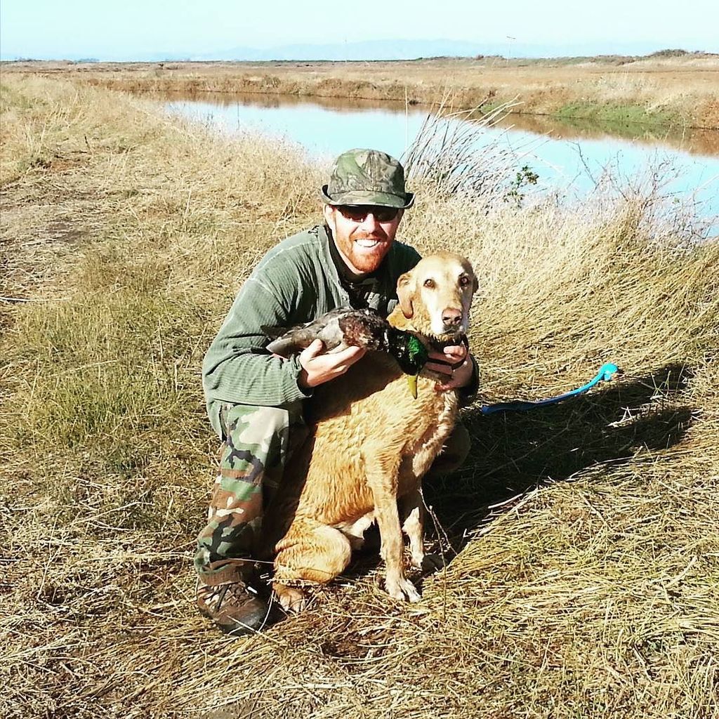 skytotable's tweet photo. Great morning #duckhunting with my buddy and his #huntingdog Poppy. #greenhead down! #hunting #duck #mallard #eatwh… https://t.co/R7tdZ5Y8XB