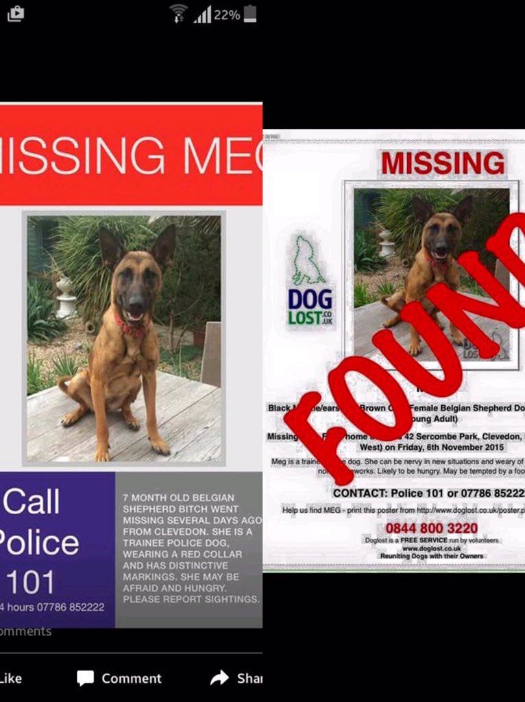 kazpar844's tweet photo. @rickygervais please RT Found after almost a week Never give up hope. #policedog #lostdog #petshatefireworks https://t.co/GvcY6d1Eq3