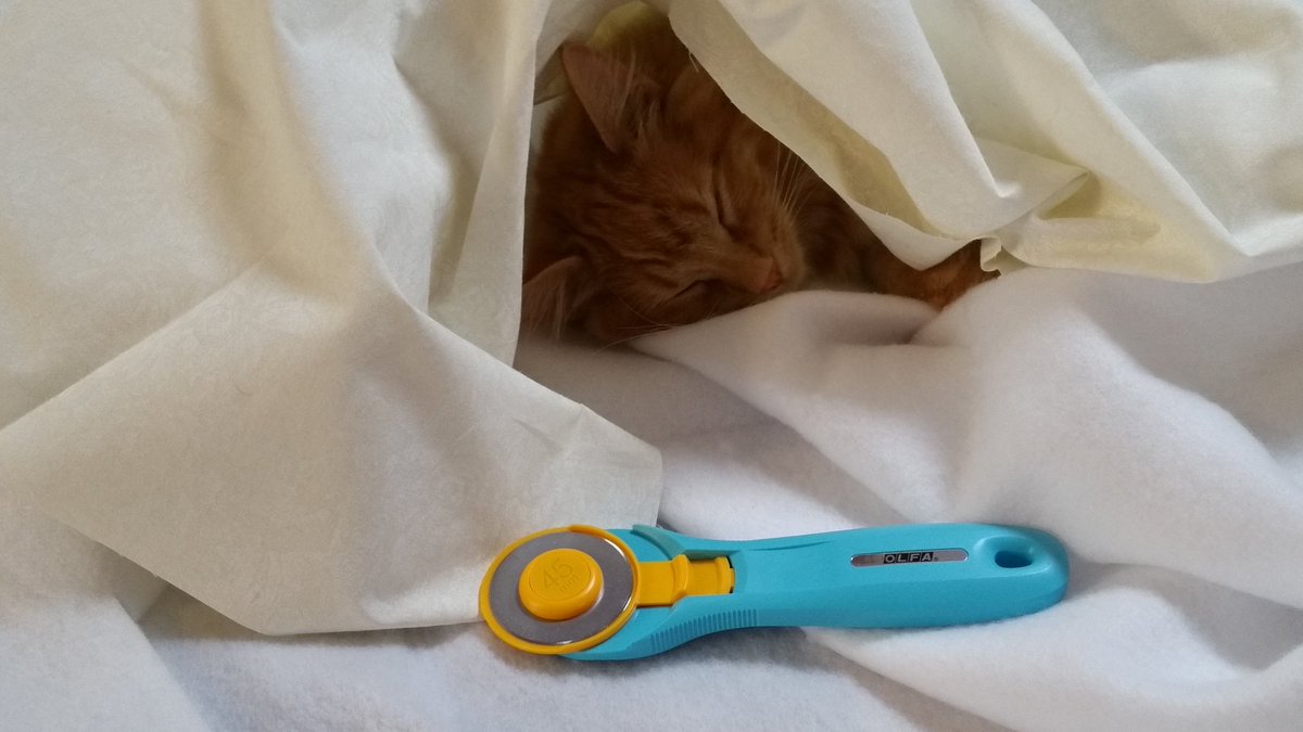 2B_Painfree's tweet photo. @catfreq @LaurenDeStefano
Sorry your not sewing today....
#OwnedbyKitten
#OwnedbyCat https://t.co/fTdqmORUOh