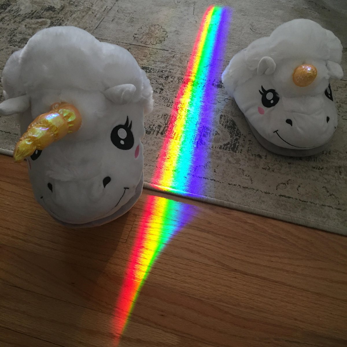 ninadobrev's tweet photo. Magic happens where unicorns reside. #NOFILTER 🦄🌈🦄 https://t.co/xHTRgVKAnI