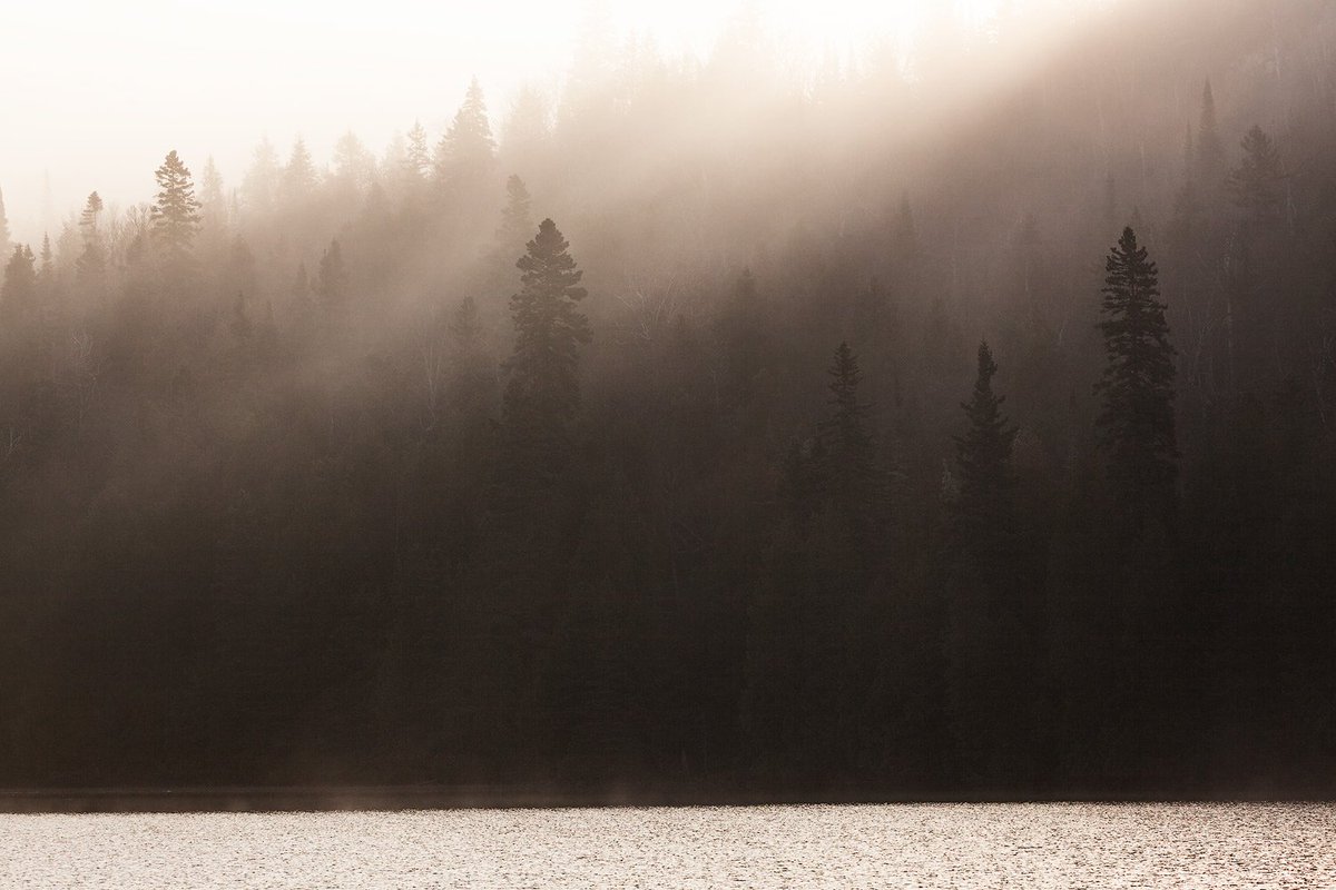 Kyle McDougall tweet media