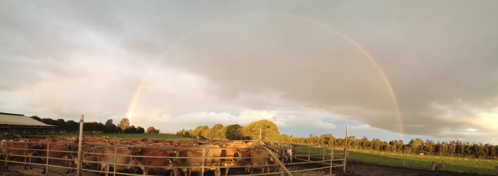 DelylaNicole's tweet photo. @SkyWeatherAUS, Waaia, Victoria https://t.co/Ta3vEEC7u0