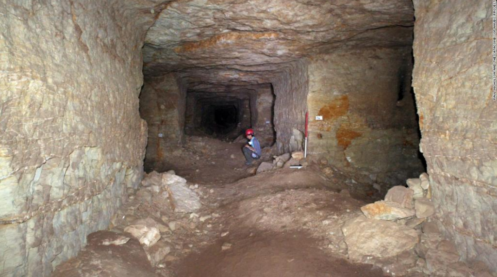 cnni's tweet photo. 8 million mummified animals, mostly dogs, discovered in Egyptian catacaombs: https://t.co/aOmDLFwVGG https://t.co/S4KNkopq36