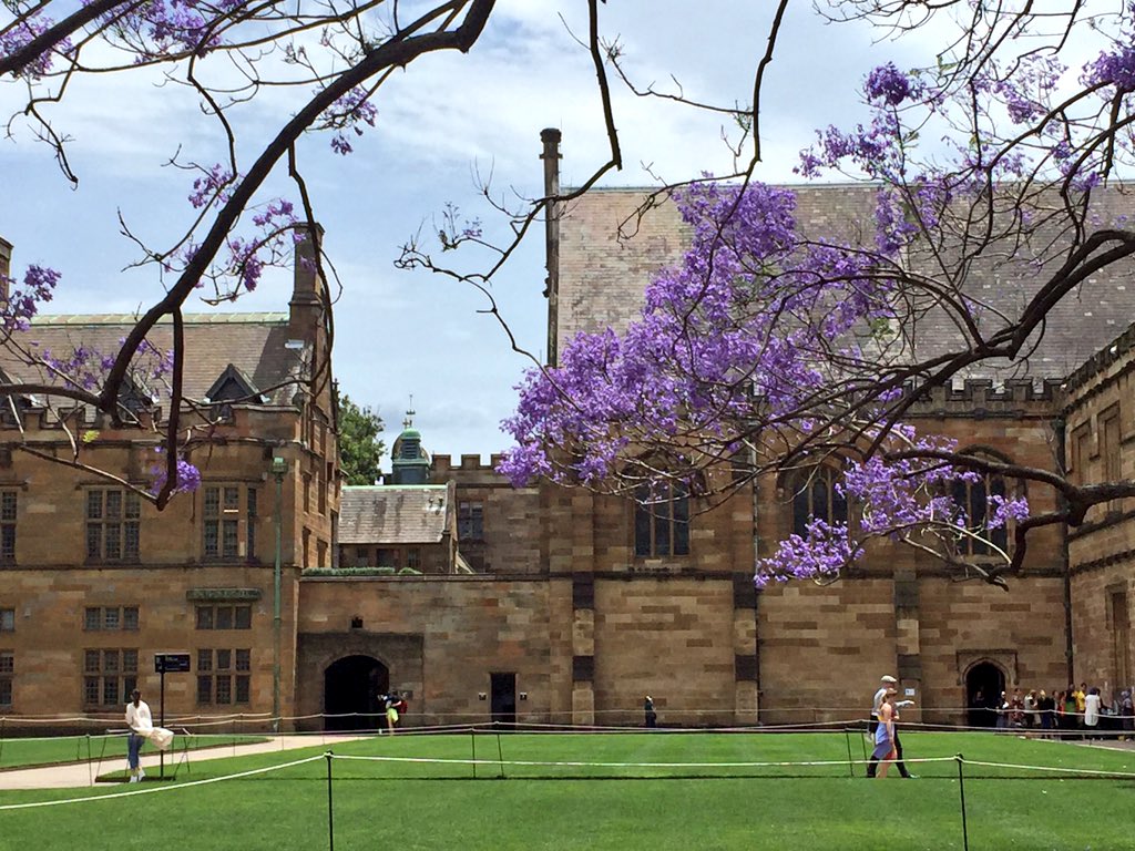 rlebard's tweet photo. See the window just under the castle structure? My desk was there for my PhD! Best desk @Sydney_Uni #misstheview https://t.co/9z1GEuBb4j