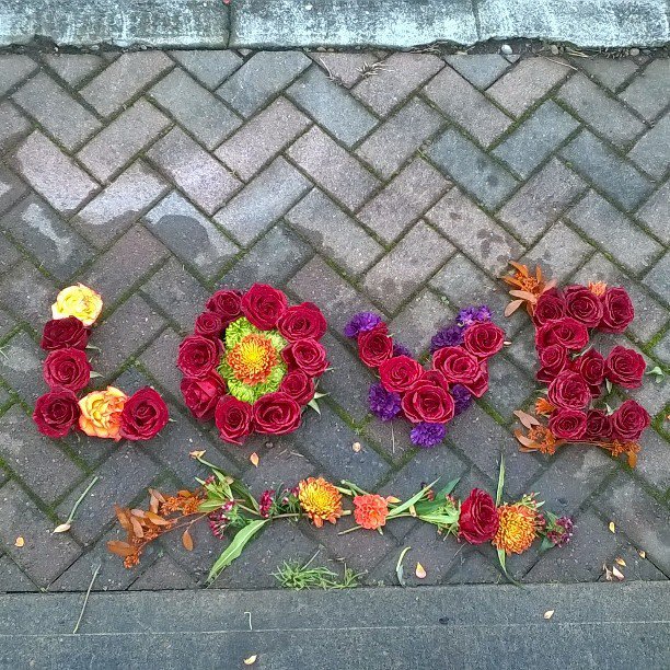 PremierePDX's tweet photo. paganholladay posted The one true strength of love, is to create a beautiful union, greater and more powerful than … https://t.co/ysuqPBEh8S