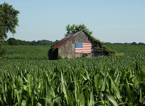 StoyFarms's tweet photo. LAND of the free, because of the BRAVE! Happy Veterans Day to all service members, past and present! https://t.co/bP6EEkPp0B