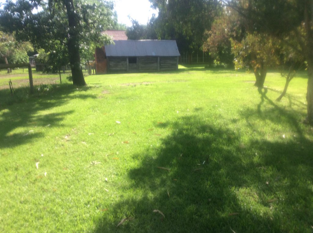 GJ Darma tweet media