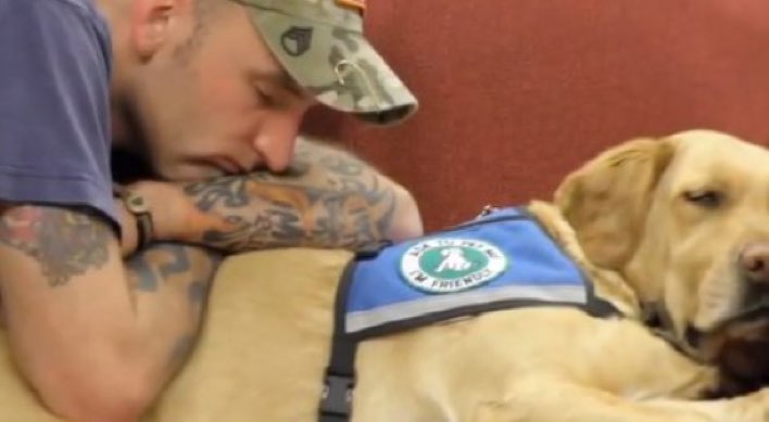 BetterPtParents's tweet photo. In honor of #VeteransDay, here's how PTSD service dogs help our wounded warriors at home! https://t.co/Fy4x1dfTeV https://t.co/MZghVVRW4u