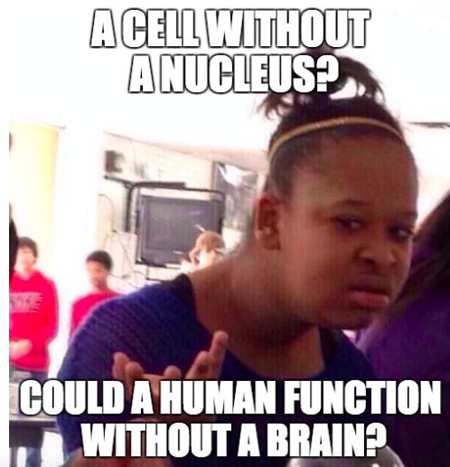 controlcenter24's tweet photo. It's simple. #mhsorganelle2015 #vote4nucleus https://t.co/OJ4Gzw9Dkq