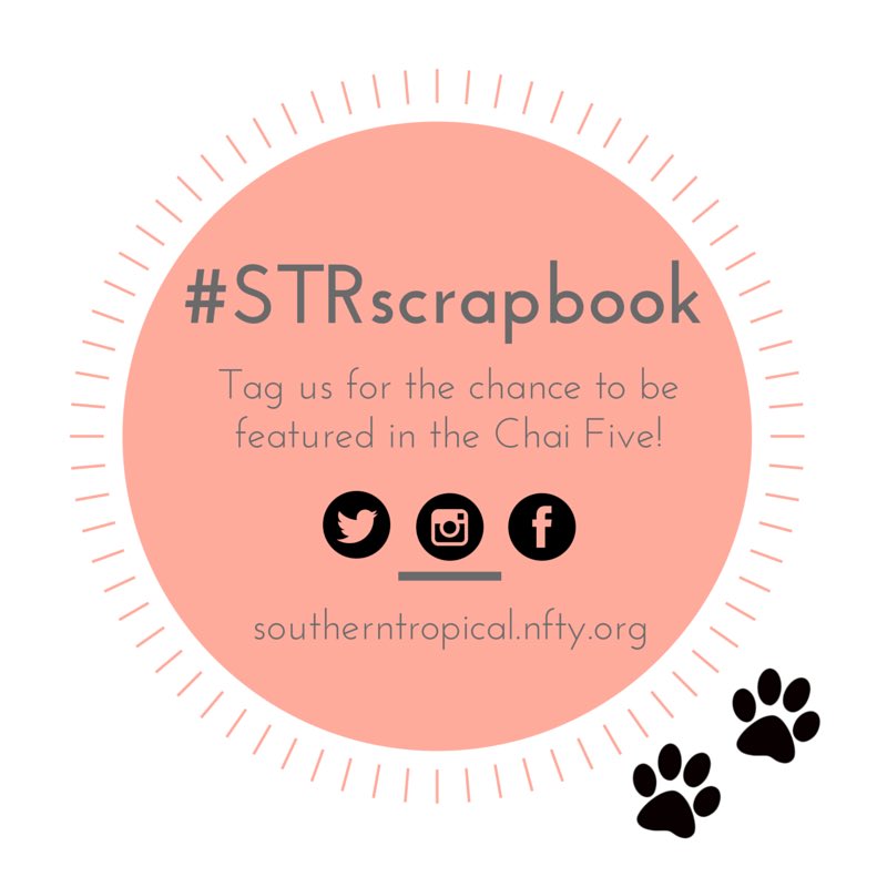 nfty_str's tweet photo. Spread the word! #strscrapbook https://t.co/h2LN1acKPb