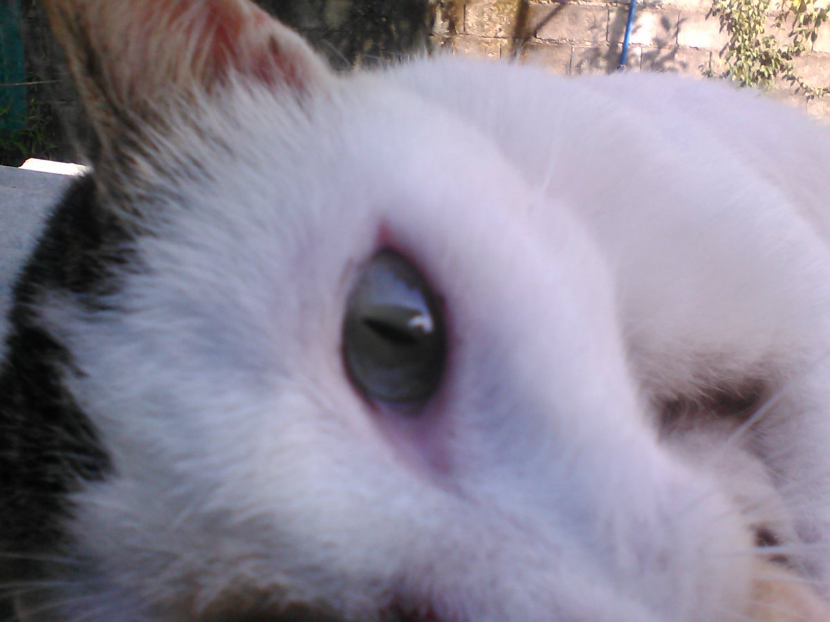lasanite's tweet photo. #Squee^__^ https://t.co/0YbEpyqSVt