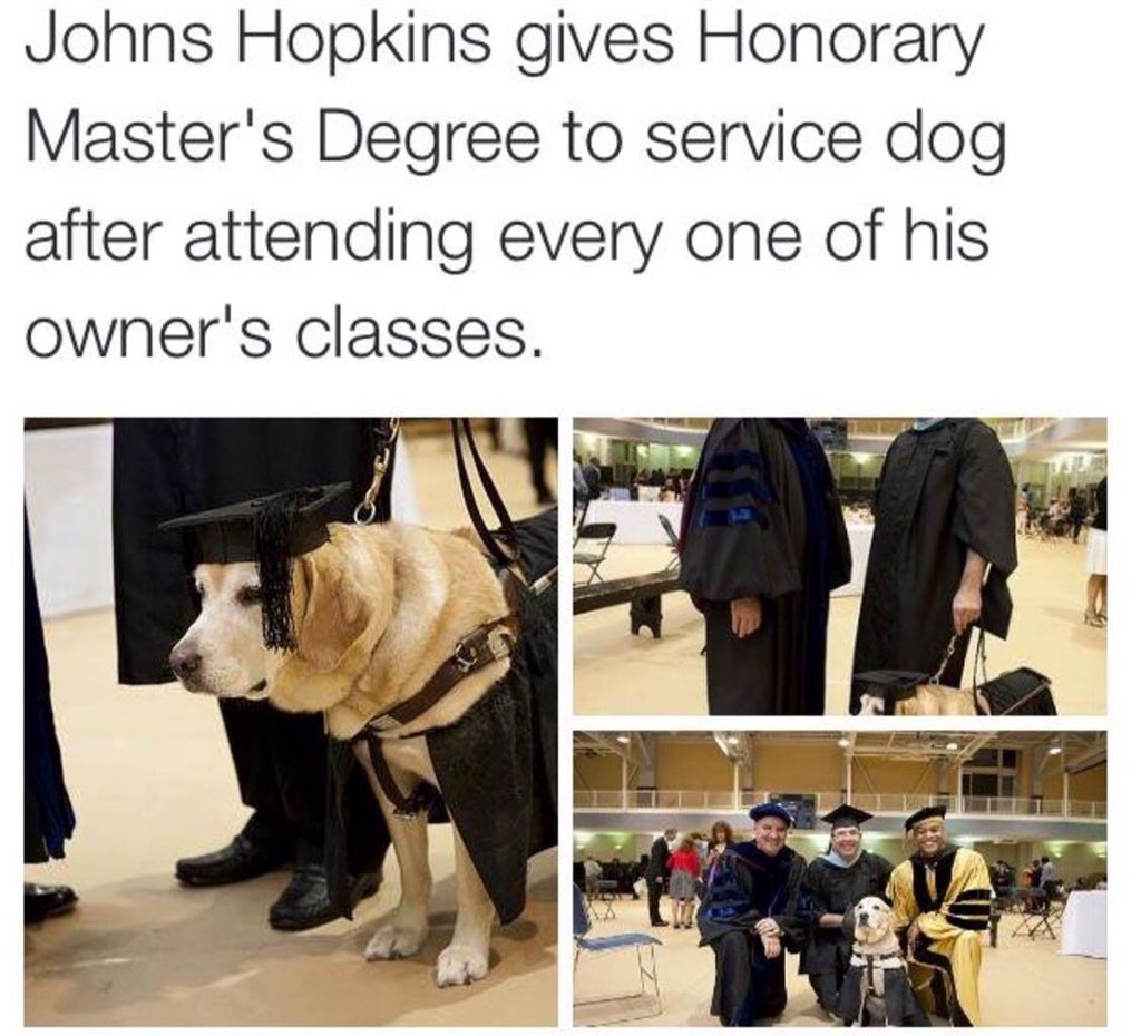 Megyn Beebe tweet media