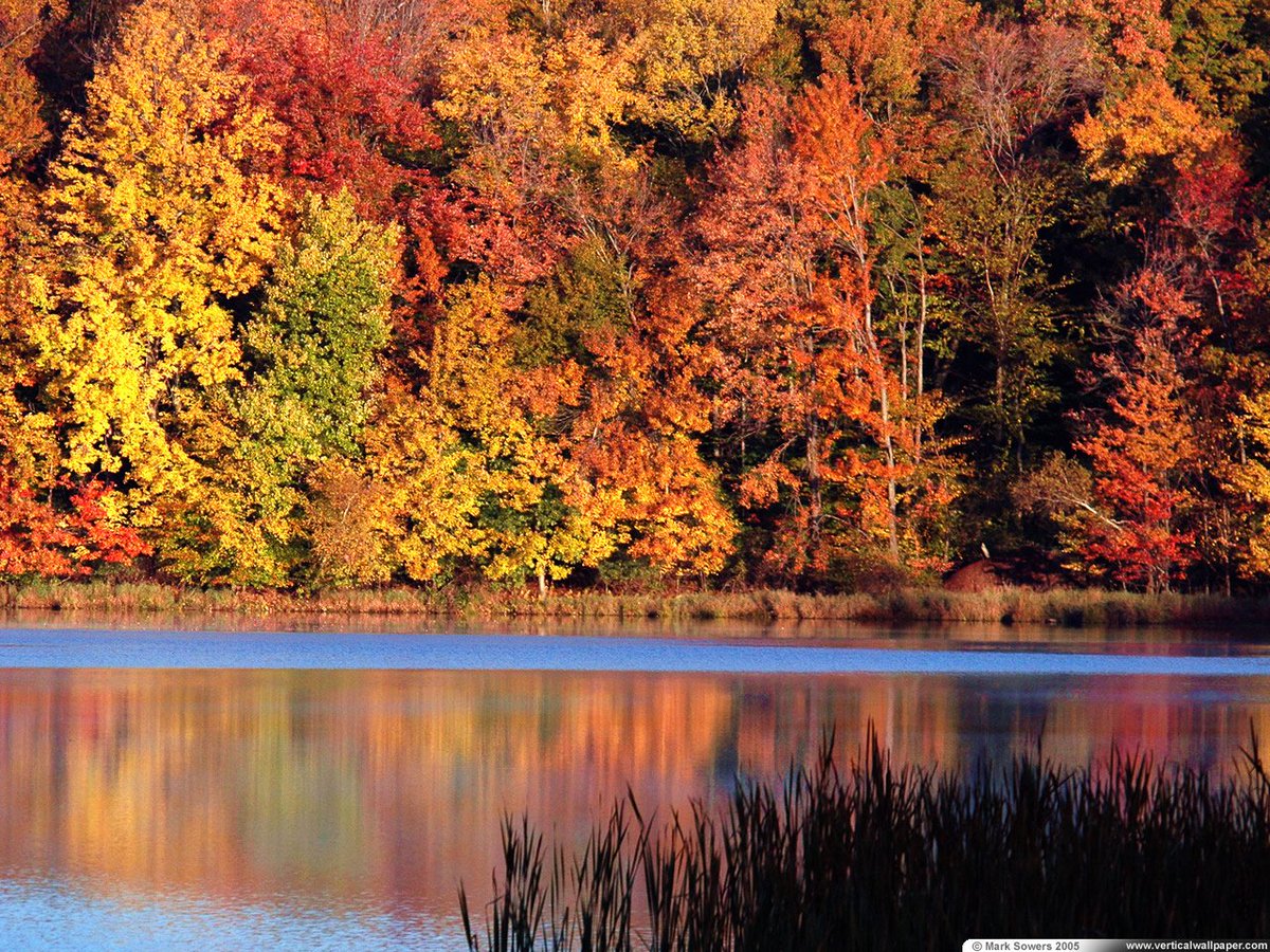 A beautiful day ~ | Autumn lake, Fall colors, Natural landmarks
