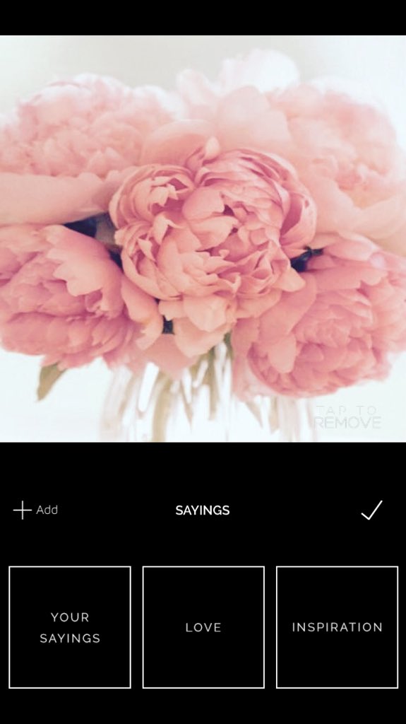 FontCandyPlus tweet picture