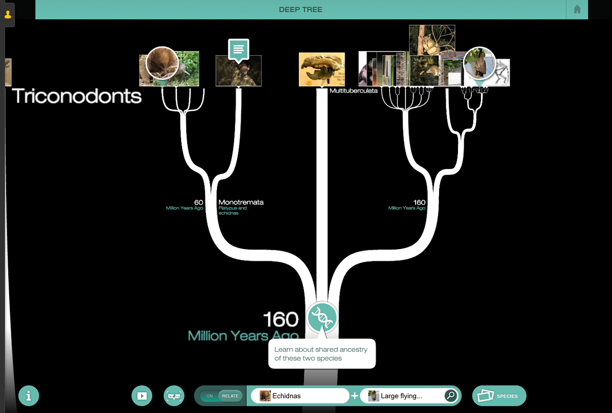 theNOVALabs's tweet photo. Learn more about our continent's prehistoric life in our Evolution Lab #MakingNorthAmerica https://t.co/0mF2NnzlBN https://t.co/Y7q4e2JgYN